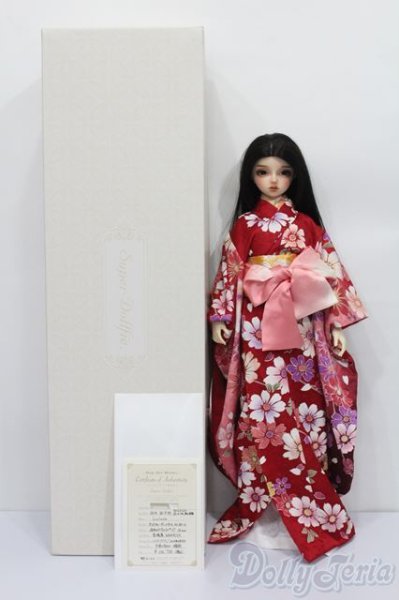 画像6: SD13女の子/ワンオフモデル F-90(Luluco様) S-25-09-28-435-TO-ZS (6)