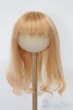 画像1: 8-9inch/ウィッグ S-25-08-10-046-TO-ZS (1)