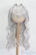 画像1: 8-9inch/ウィッグ S-25-08-10-166-TO-ZS (1)