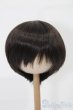 画像1: 8-9inch/ウィッグ S-25-08-10-222-TO-ZS (1)