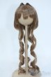 画像1: 8.5-9inch/ウィッグ Y-25-11-26-105-GN-ZY (1)