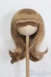 画像1: 9-10inch/ウィッグ S-25-08-17-295-SK-ZS (1)