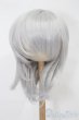 画像1: 8-9inch/ウィッグ S-25-08-17-198-SK-ZS (1)
