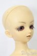 画像4: MSD/健 S-25-08-24-002-TO-ZS (4)