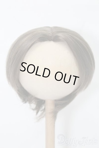 画像1: 8-9inch/ウィッグ S-25-09-07-094-TO-ZS (1)