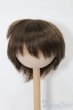 画像1: 7-8inch/ウィッグ S-25-08-31-234-TO-ZS (1)