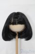 画像1: 9-10inch/ウィッグ S-25-09-07-097-TO-ZS (1)