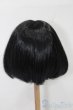 画像2: 9-10inch/ウィッグ S-25-09-07-097-TO-ZS (2)