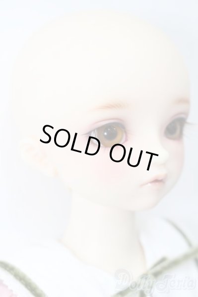 画像4: SDM女の子/F-52　コーディネートモデル S-26-01-25-432-TO-ZS (4)