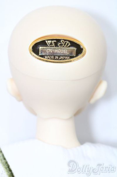 画像5: SDM女の子/F-52 コーディネートモデル S-25-09-07-102-TO-ZS (5)