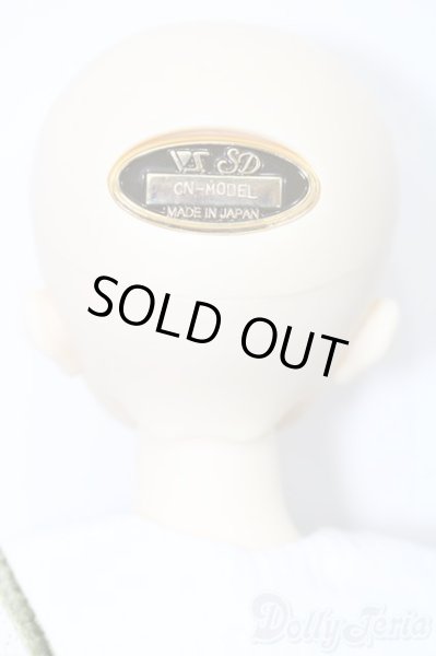 画像5: SDM女の子/F-52　コーディネートモデル S-26-01-25-432-TO-ZS (5)