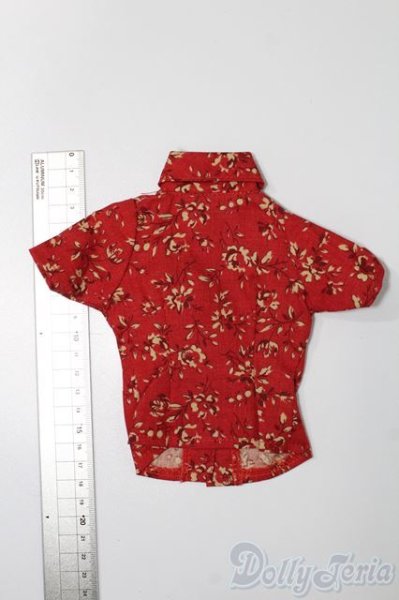 画像2: SD/OF:トップス S-25-09-07-195-TO-ZS (2)