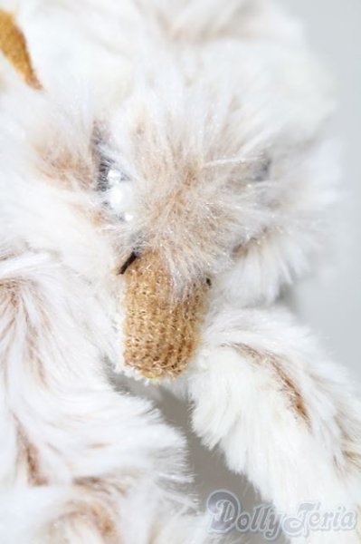 画像2: MSD/CoCoon製キツネ襟巻 S-25-09-07-242-TO-ZS (2)