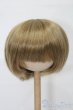 画像1: 9-10inch/ウィッグ S-25-09-21-284-TO-ZS (1)