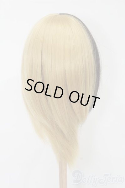 画像3: 9-10inch/ウィッグ S-25-09-21-200-TO-ZS (3)