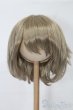 画像1: 8-9inch/ウィッグ S-25-09-21-197-TO-ZS (1)