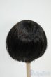 画像2: 8-9inch/ウィッグ Y-25-12-03-048-TO-ZY (2)