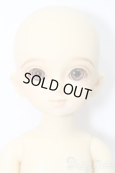 画像3: 幼SD/千夏 S-25-11-16-470-TO-ZS (3)