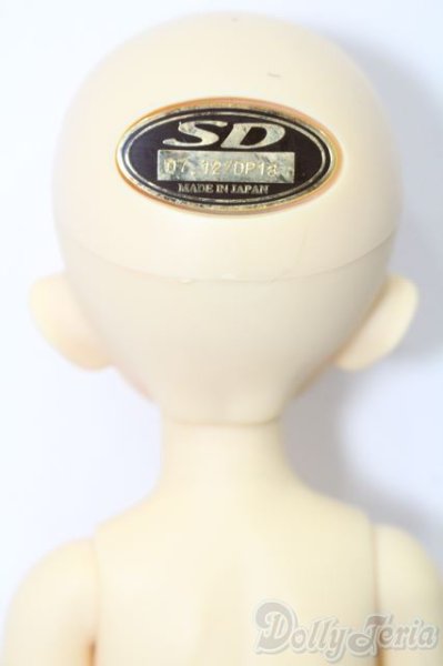 画像6: 幼SD/千夏 S-25-09-21-153-TO-ZS (6)