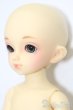 画像4: 幼SD/空太 S-25-09-21-152-TO-ZS (4)