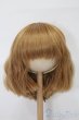画像1: 8-9inch/ウィッグ S-25-10-19-140-TO-ZS (1)