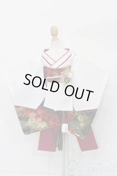 画像1: SDM＆MSD/OF:衣装セット S-25-09-21-240-TO-ZS (1)