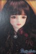 画像1: SDGr/ベル Belle 夢夜へのいざない 美女と野獣 S-25-09-28-151-TO-ZS (1)