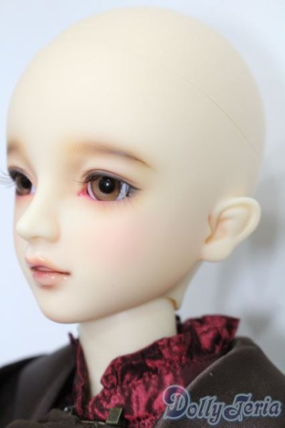 画像4: SDGr/ベル Belle 夢夜へのいざない 美女と野獣 S-25-09-28-151-TO-ZS (4)