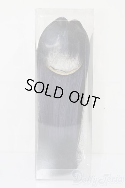 画像1: 9inch/みさんとるーぷ様製ウィッグ S-25-09-28-187-TO-ZS (1)