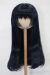 画像1: 8-9inch/ウィッグ：なにぬねこみや様製 S-25-09-28-189-TO-ZS (1)