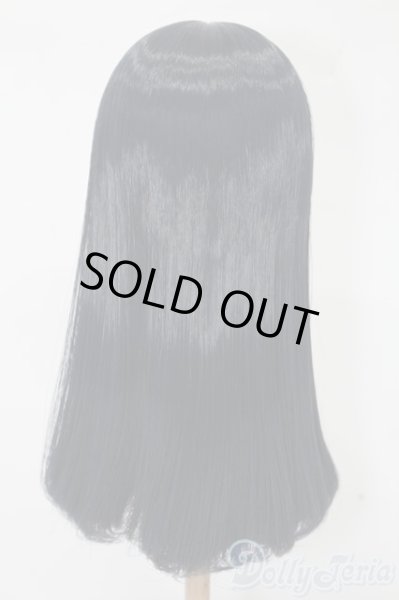 画像2: 8-9inch/ウィッグ：なにぬねこみや様製 S-25-09-28-189-TO-ZS (2)