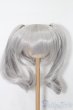 画像1: 8-9inch/ウィッグ S-25-10-05-130-TO-ZS (1)