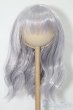 画像1: 8-9inch/ウィッグ S-25-10-05-123-TO-ZS (1)