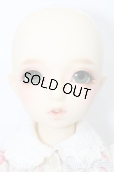 画像3: SDM女の子/まこ　スタンダードモデル S-25-09-28-205-TO-ZS (3)