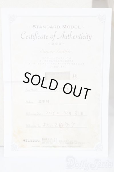 画像10: SDM女の子/まこ　スタンダードモデル S-25-09-28-205-TO-ZS (10)