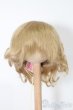 画像1: 6-7inch/ウィッグ S-25-09-28-250-TO-ZS (1)