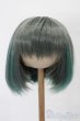画像1: 8-9inch/ウィッグ S-25-10-12-246-TO-ZS (1)
