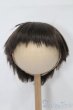 画像1: 8-9inch/ウィッグ S-25-10-19-137-TO-ZS (1)
