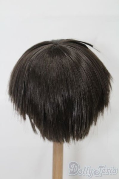 画像3: 8-9inch/ウィッグ S-25-10-19-137-TO-ZS (3)