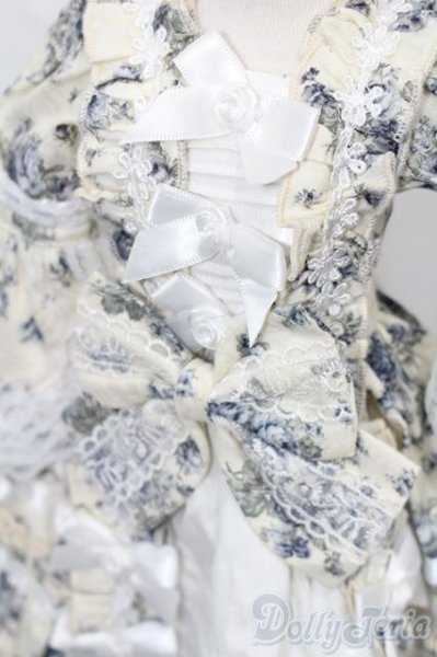 画像4: SD/OF オンディーヌ様製ドレスセット S-25-11-23-317-TO-ZS (4)