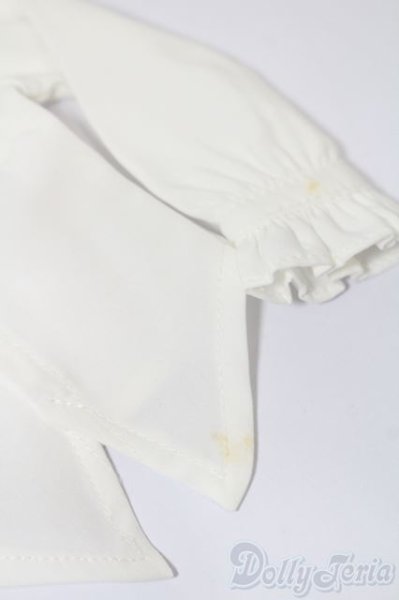 画像7: MSD&SDM/OF ブラックバッカラ・ミニ(VOLKS製) S-25-10-19-195-TO-ZS (7)