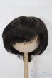 画像1: 8-9inch/ウィッグ S-25-10-19-138-TO-ZS (1)
