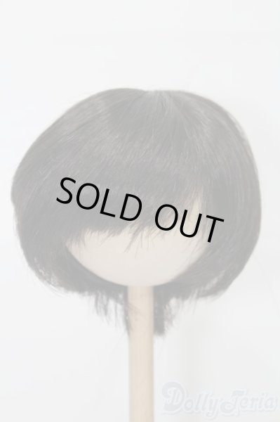 画像1: 8-9inch/ウィッグ S-25-10-19-138-TO-ZS (1)