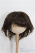 画像1: 8-9inch/ウィッグ S-25-12-28-229-TO-ZS (1)