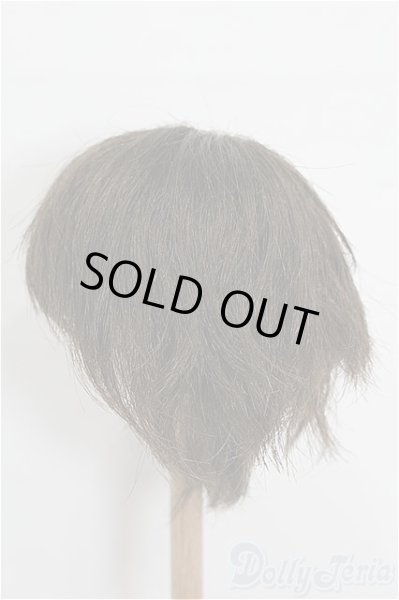 画像2: 8-9inch/ウィッグ S-25-12-28-229-TO-ZS (2)