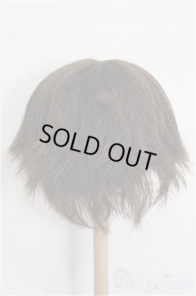 画像3: 8-9inch/ウィッグ S-25-12-28-229-TO-ZS (3)