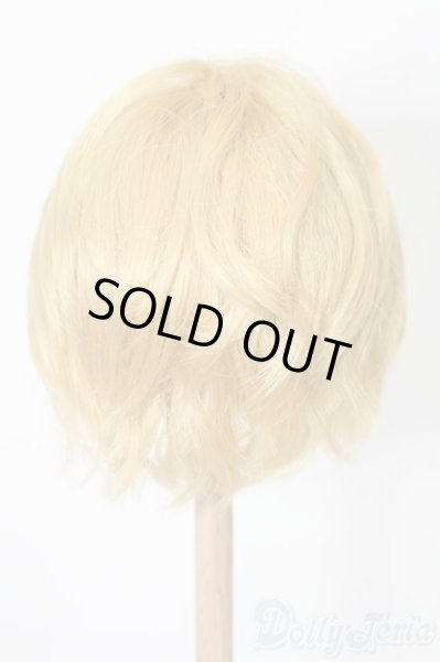 画像2: 8-9inch/ウィッグ S-25-12-14-375-TO-ZS (2)