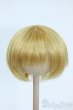 画像1: 8-9inch/ウィッグ Y-25-11-26-118-TO-ZY (1)
