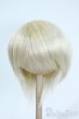 画像1: 8-9inch/ウィッグ Y-25-11-26-117-TO-ZY (1)