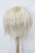 画像2: 8-9inch/ウィッグ S-25-11-02-272-TO-ZS (2)
